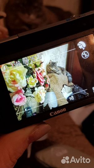 Фотоаппарат canon powershot