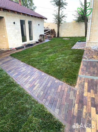 Рулонный газон