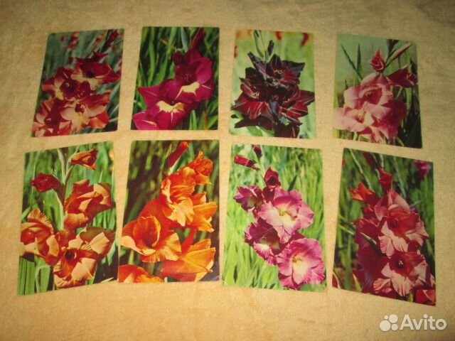 Наборы советских открыток