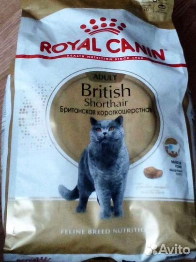 Корм для кошек роял канин 4кг Британец royal canin