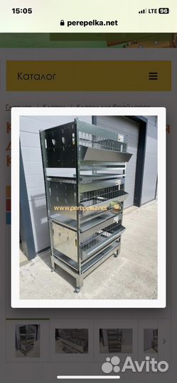 Клетки для бройлеров и кур несушек