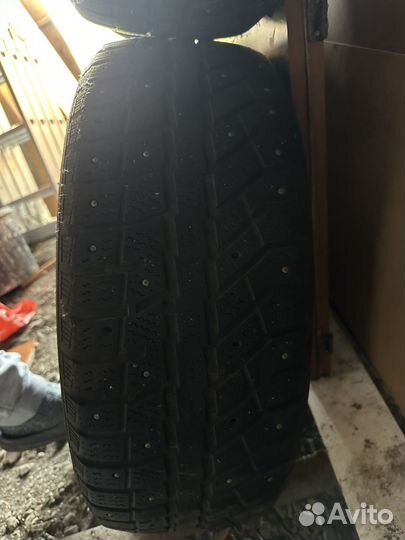 Brasa IceControl 205/60 R16 96T