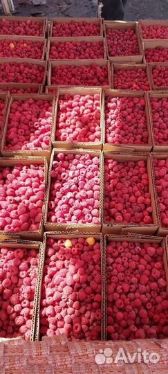 Малина отборная1200