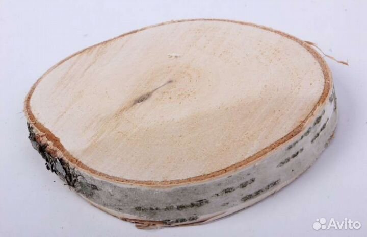 Спилы березовые