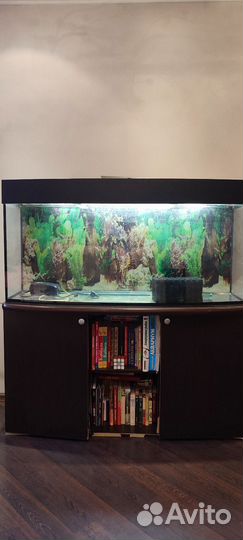 Аквариум с тумбой бу
