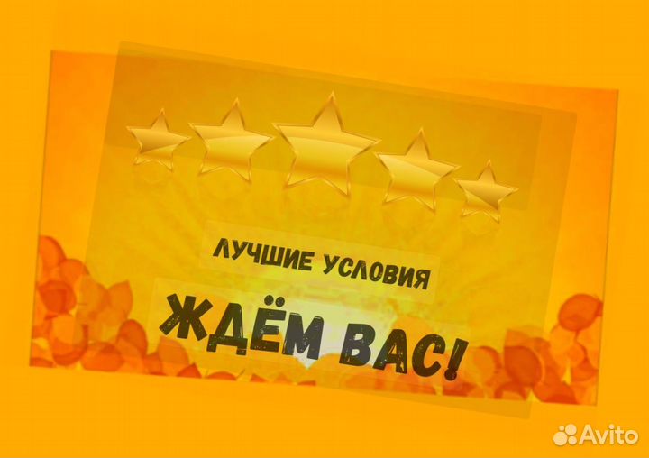 Сортировщик Еженедельный аванс Спецодежда М/Ж