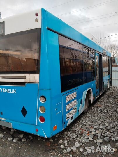 Городской автобус МАЗ 206, 2012