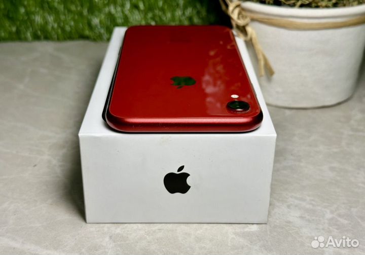 iPhone Xr, 128 ГБ