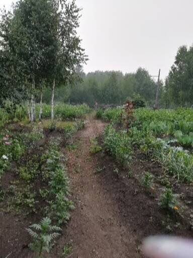 Участок 10,02 га (СНТ, ДНП)