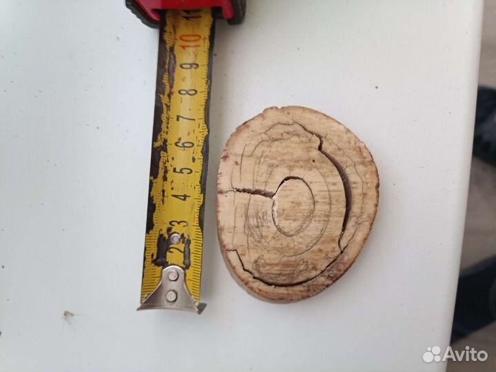 Продам бивень мамонта