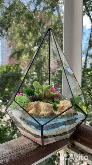 Флорариум с суккулентами