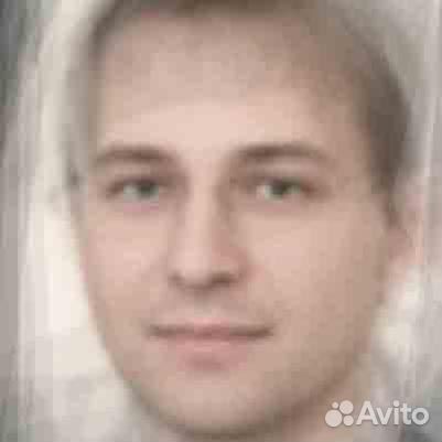 Программист, сисадмин, IT-специалист