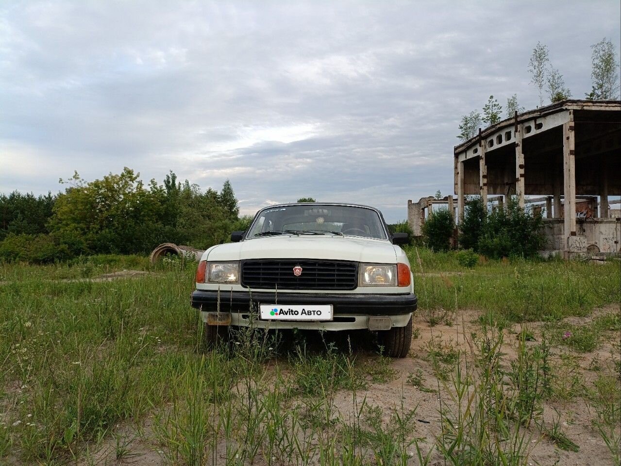 ГАЗ 31029 Волга: фото из отзыва