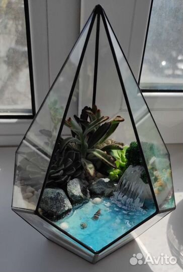 Флорариум суккуленты