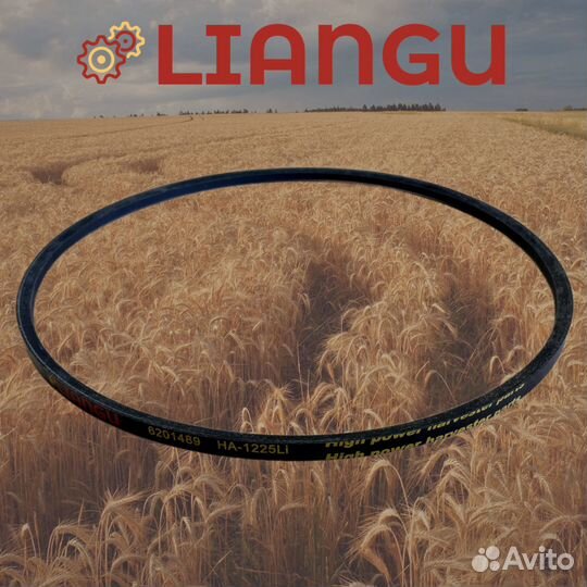 6201489 Ремень Liangu для Рсм