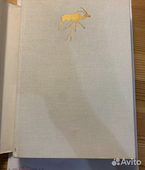 Сафари под килиманджаро 1979