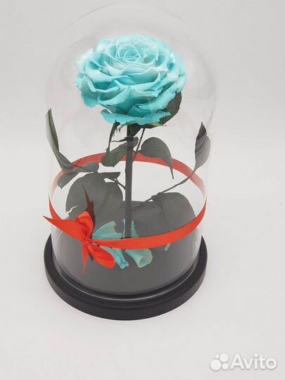 Роза в колбе. Неувядающая