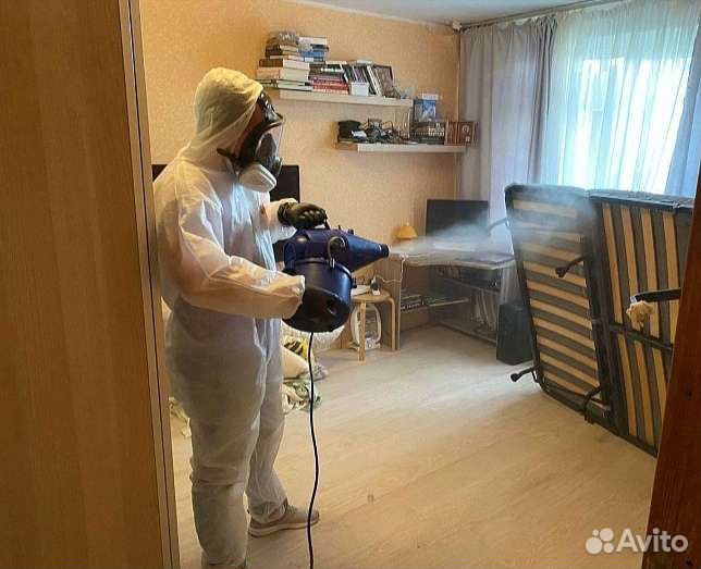 Уничтожение тараканов клопов мышей блох клещей