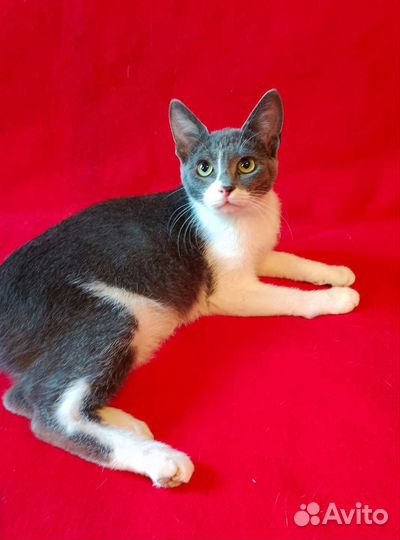 Меня бросили ищу семью