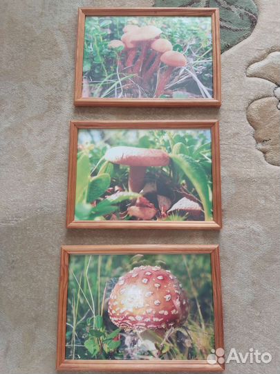 Авторское фотопанно 