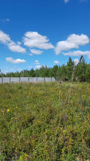 Участок 4,72 га (СНТ, ДНП)