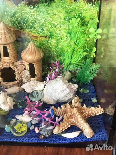 Аквариум