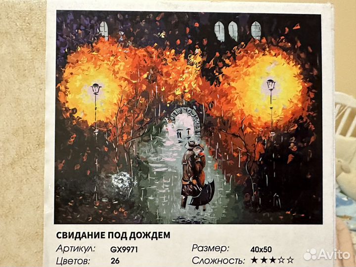 Картина по номерам *Свидание под дождем*