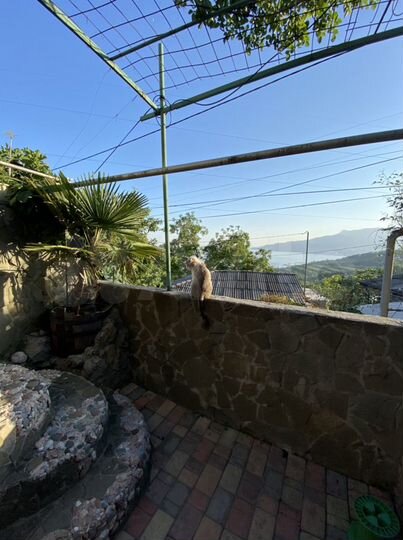 1-к. квартира, 60 м², 3/3 эт.