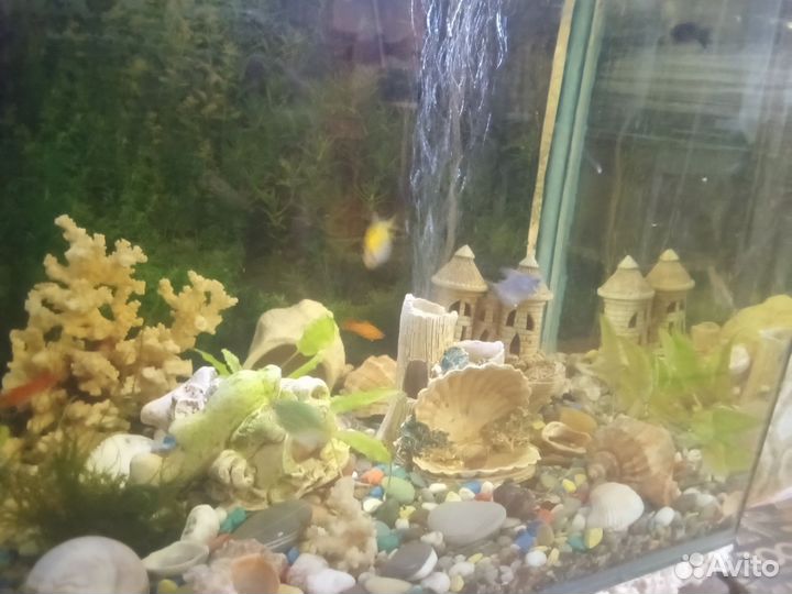 Продам аквариум
