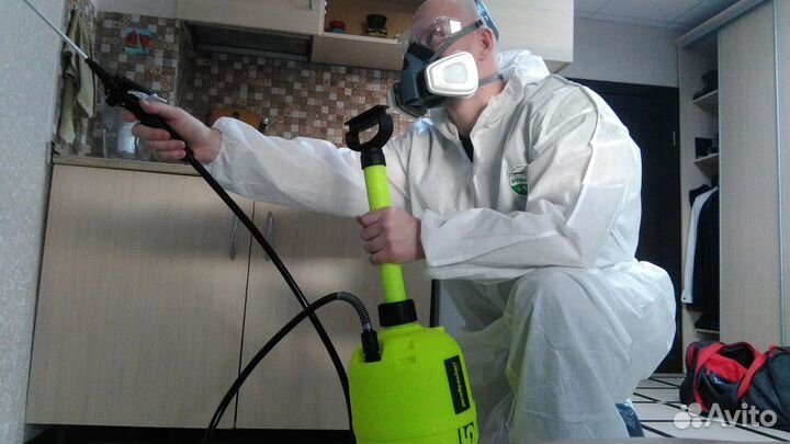 Уничтожение клопов, травить тараканов. Дезинфекция