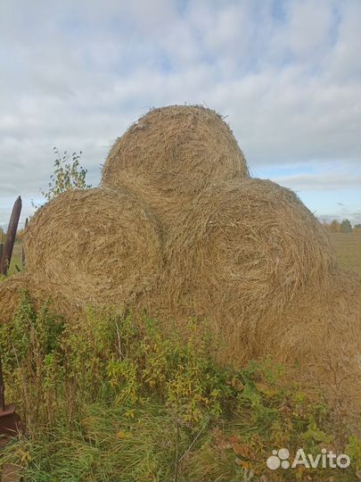Сено в рулонах 350кг