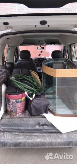 Ремонт аквариумов, слив, запуск, передержка рыбы