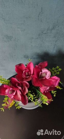 Орхидея в горшке