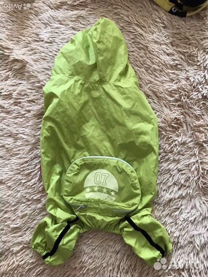 Одежда для собак