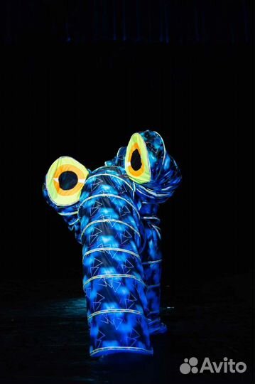 Костюм для аниматоров 