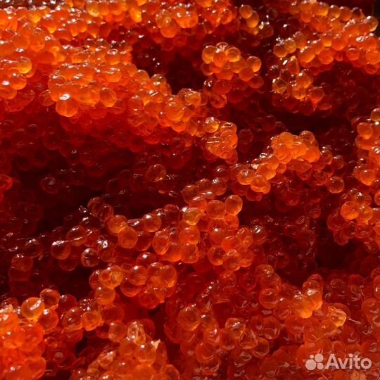 Красная икра Кеты опт 1000 г. свежая