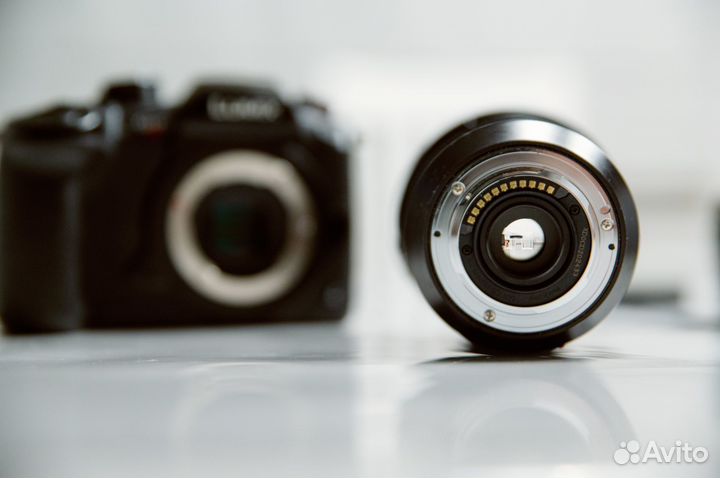 Panasonic lumix gh5s