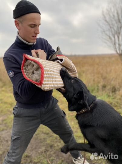 Кинолог. Дрессировка Собак-Телохранителей