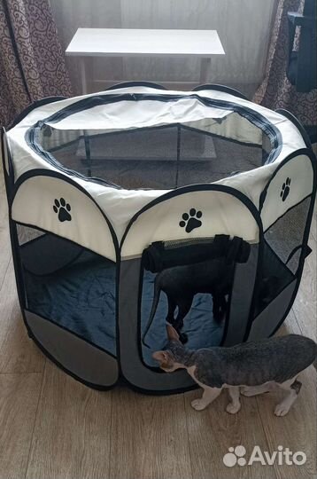 Вольер для кошек и собак