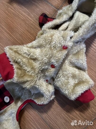 Одежда для собак