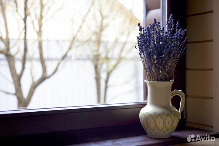 Лаванда, букет, цветы