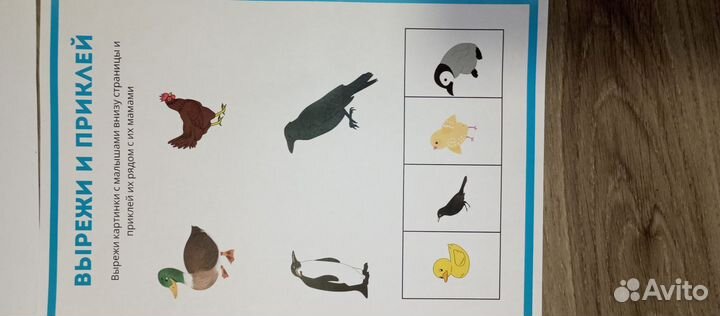 Цветной лазерный принтер