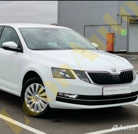 Ноускат Skoda Octavia A7 2013-2020 B4B4