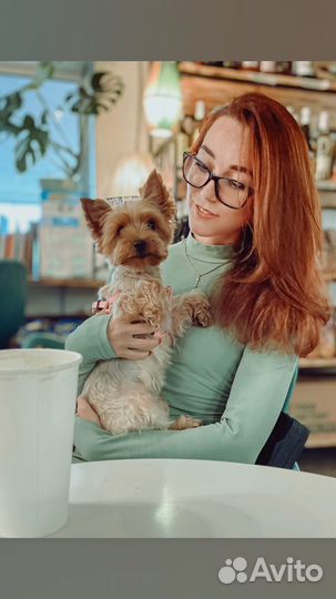 Выгульщик собак/ Передержка собак и кошек