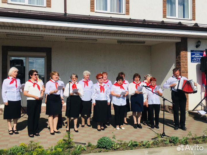 Гармонист. Баянист