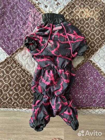 Дождевик для таксы