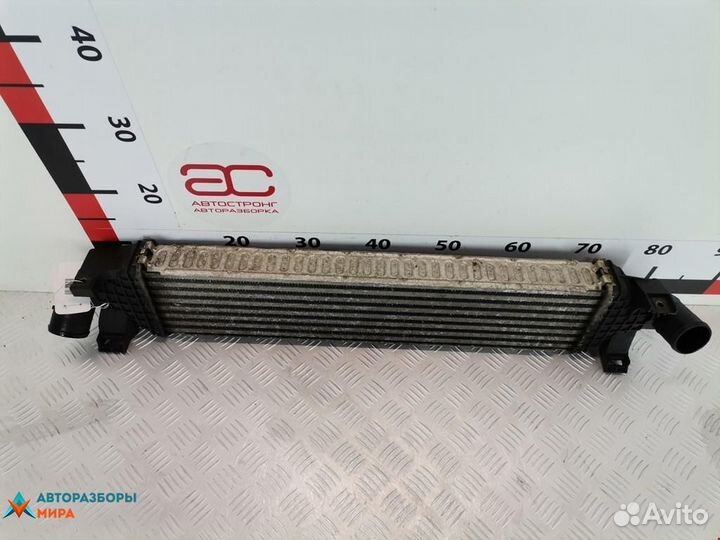 Интеркулер Ford Focus рест. 2005 1423959