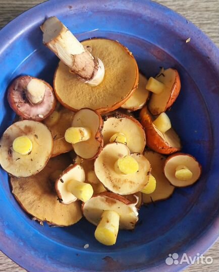 Грибы лесные. Боровики,подберезовик, подосиновик