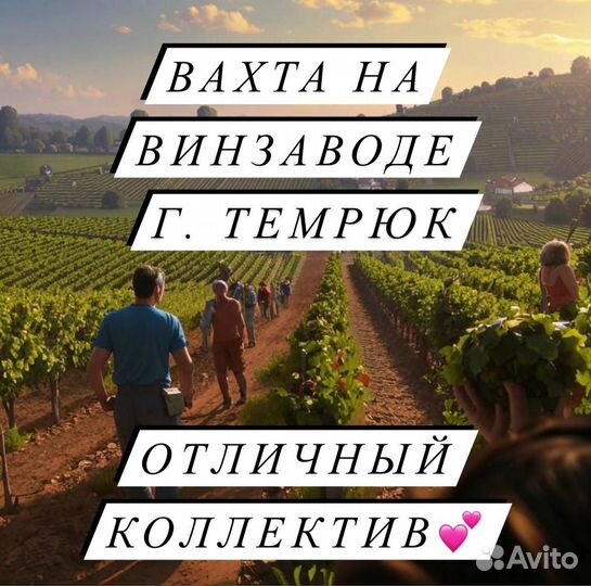 Оператор линии/Вахта с питанием в Темрюке