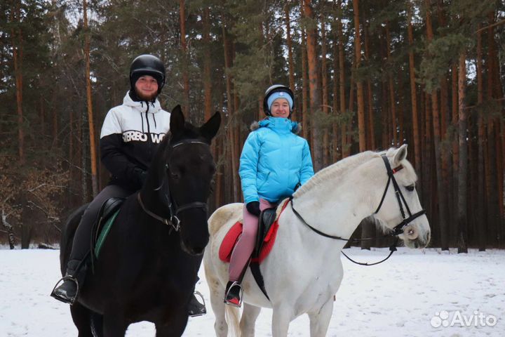 Конные прогулки и занятия